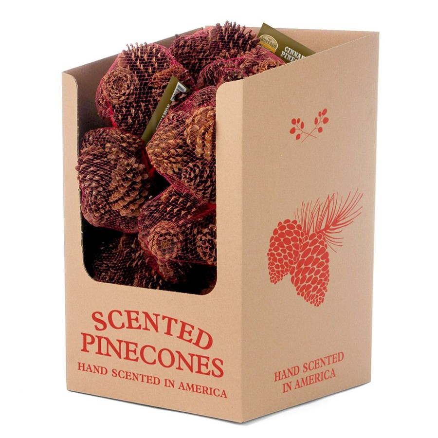 Home D Cor * | Pumpkin Spice Scented Pinecones Reliable Quality