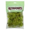 Home D Cor * | Reindeer Moss Sm Chartreuse At Reduced Price