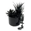 Home D Cor * | Halloween Black String Pearls Succulent, 8.6 Outlet