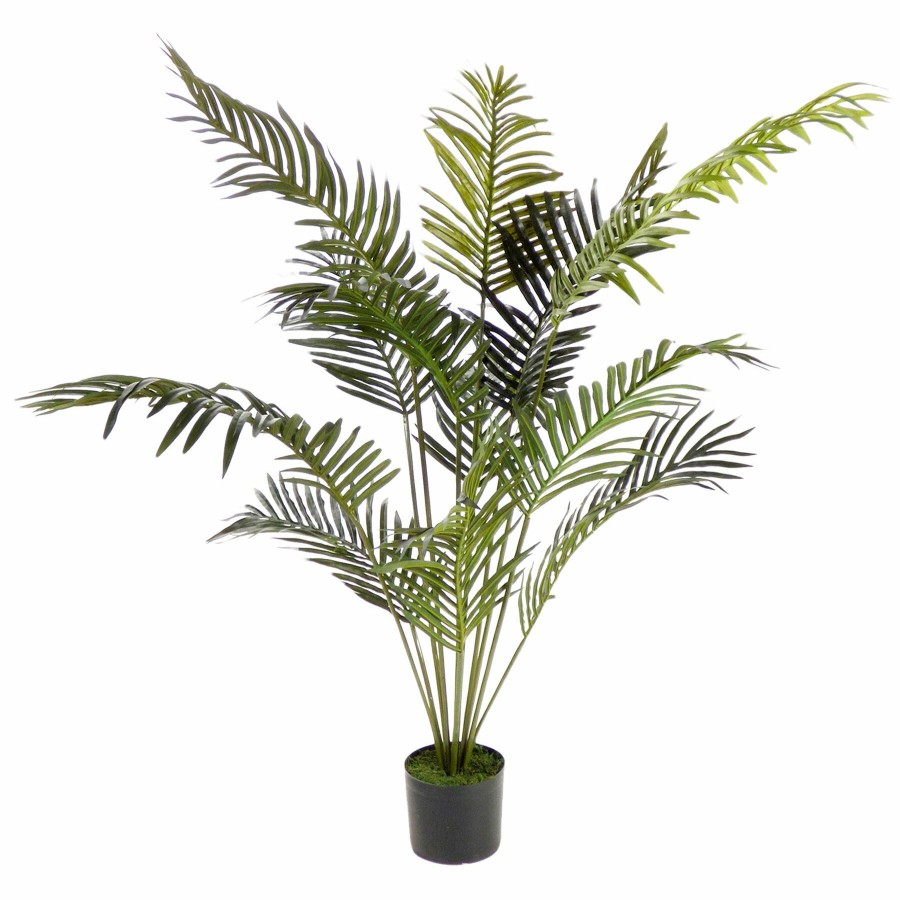 Home D Cor * | Paradise Palm In Plstc Pot 5Ft New Collections