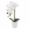 Home D Cor * | White Orchid Flower With Ceramic Planter, 17.5 Discount Store