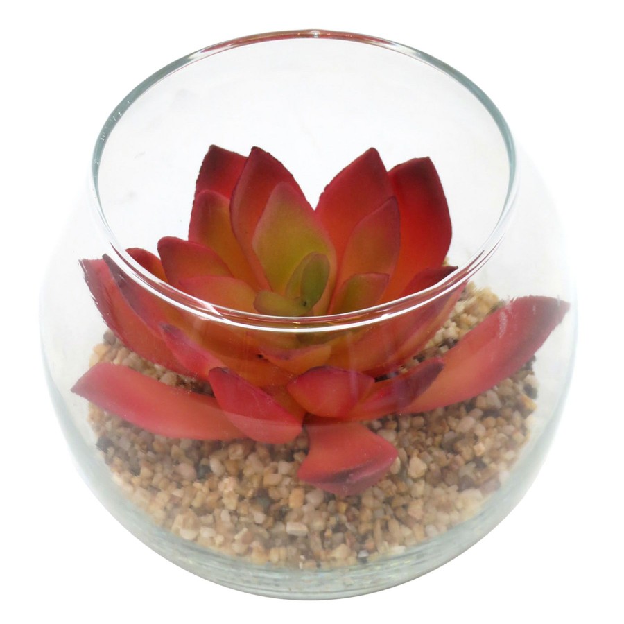 Home D Cor * | 3.5In Echeveria Glass Lt Red Latest Fashion