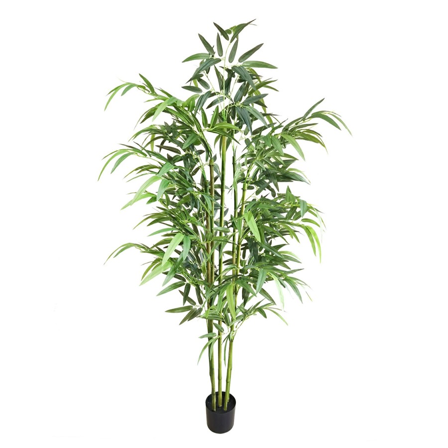 Home D Cor * | 6Ft Bamboo Tree In Blk Pot Reliable Quality