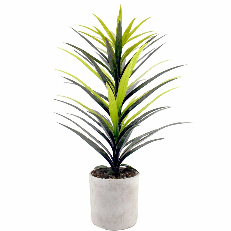 Home D Cor * | Yucca Tree With Cement Planter, 42 Latest Fashion