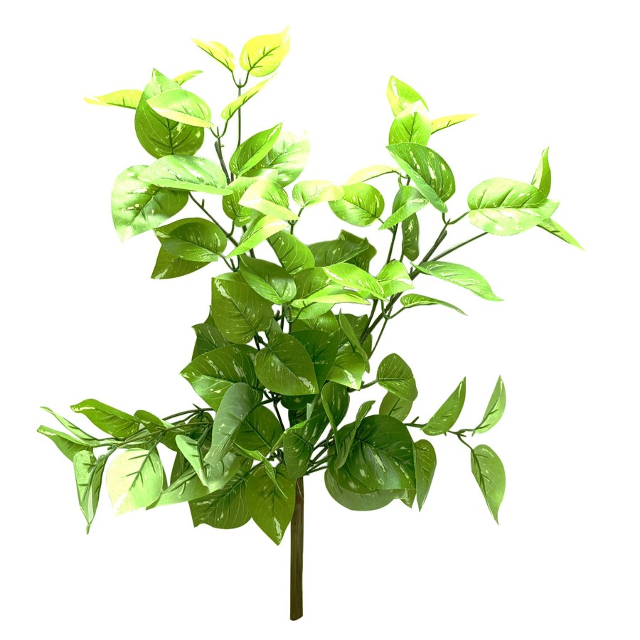 Home D Cor * | Pothos Hanging Bush, 26 At Reduced Price