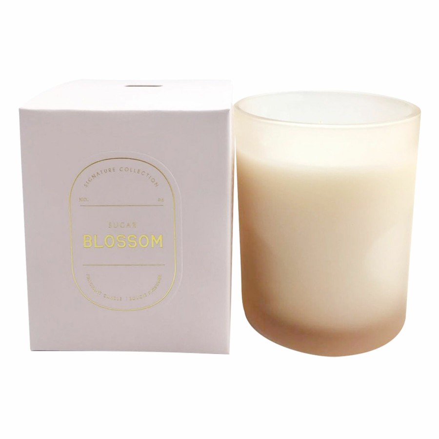 Home D Cor * | Sugar Blossom Scented Jar Candle, 10Oz Exactly Discount