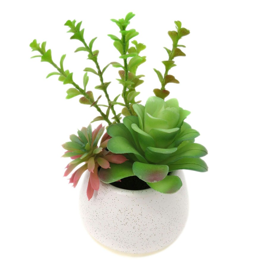 Home D Cor * | 7.5In Mixed Succulent Pot Wht At Low Price