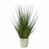 Home D Cor * | Onion Grass Plant With Cement Planter, 31 Reliable Quality