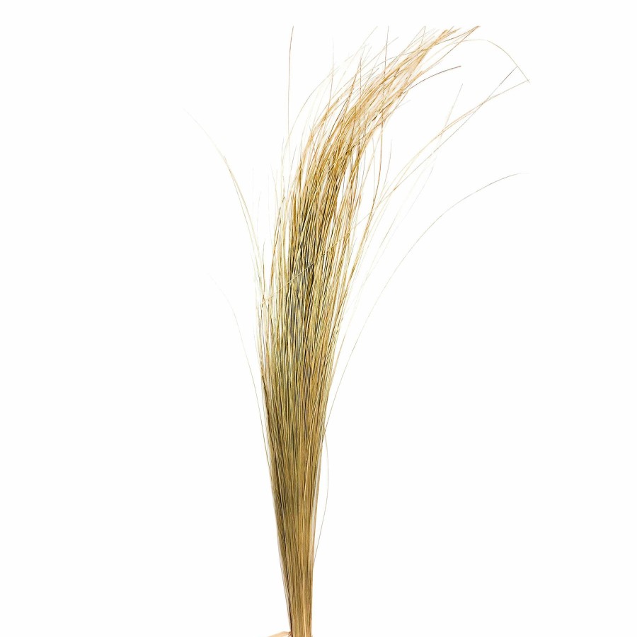 Home D Cor * | Natural Silver Grass Bundle, 34 At Reduced Price