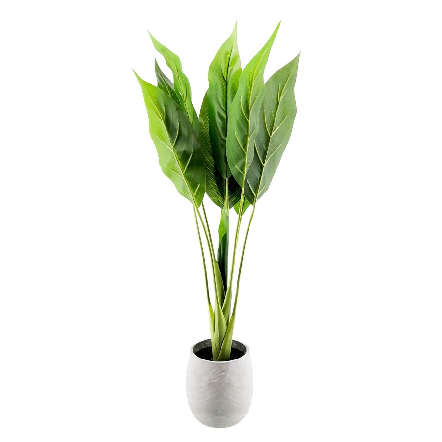 Home D Cor * | Leaf Tree With White Planter, 29 Outlet Sale