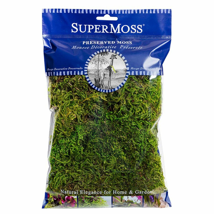 Home D Cor * | Preserved Forest Moss, 2Oz Exceptional Design