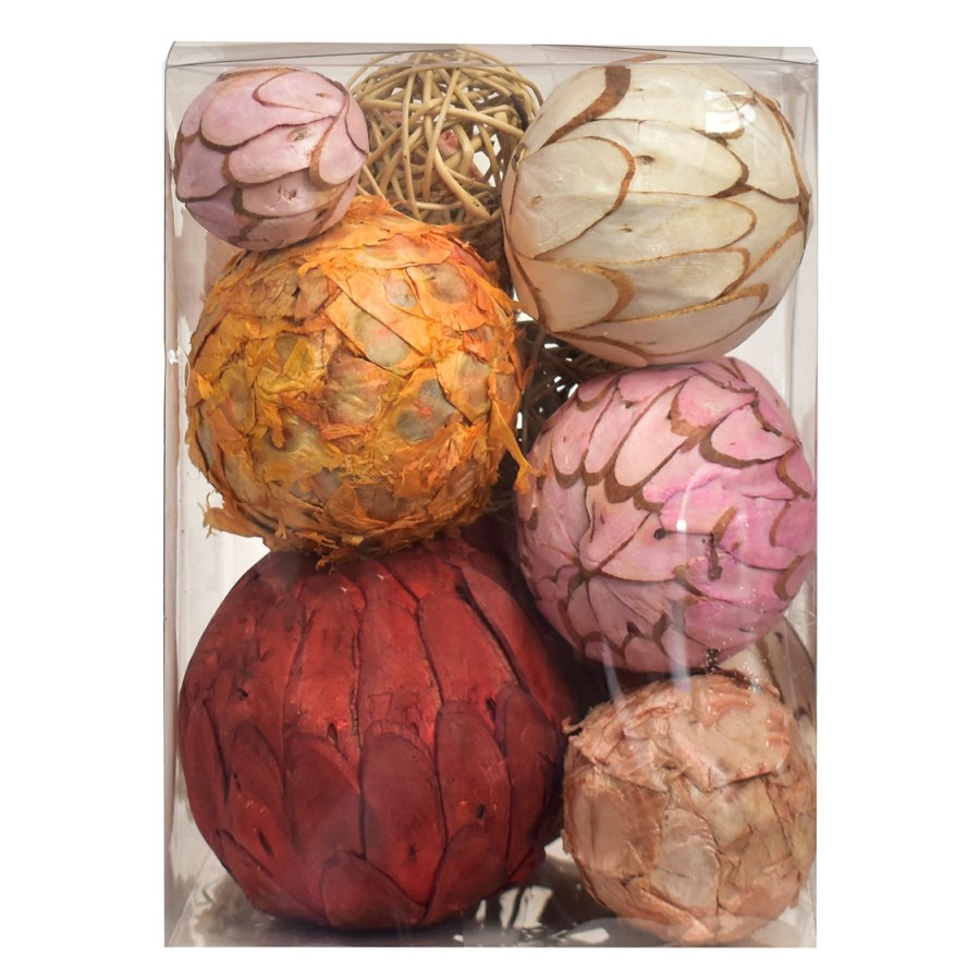 Home Accents * | Brown Assorted Dried Orbs Outlet Sale