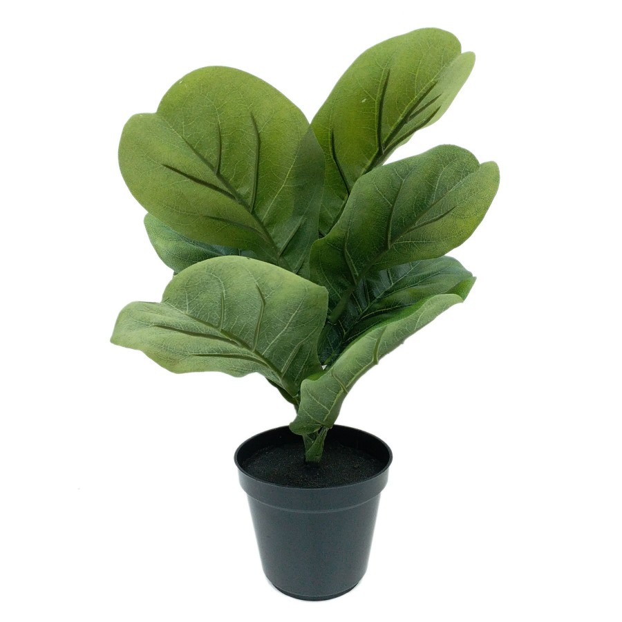 Home D Cor * | 16In Fiddle Leaf In Pot Black Discounts