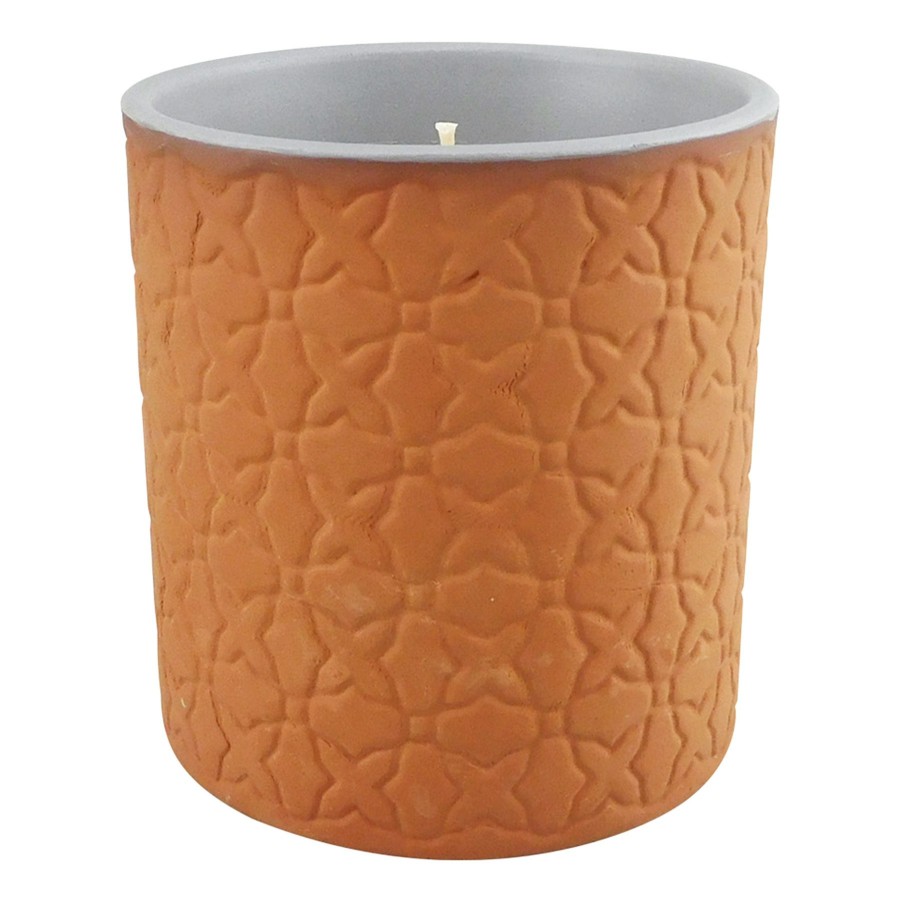 Home D Cor * | River Birch & Fern Scented Jar Candle, 10Oz Delicate Design