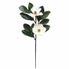 Home D Cor * | Magnolia Floral Stem, 30 Discounts